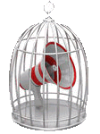 datacall